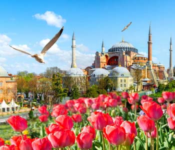 10 Turkiye Tulip Festival